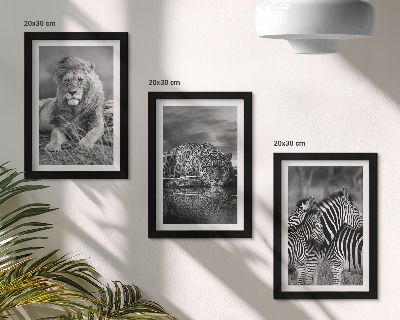 Lot de 3 tableaux Animaux sauvages de la savane : lion, jaguar et zèbre