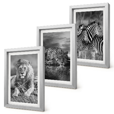Lot de 3 tableaux Animaux sauvages de la savane : lion, jaguar et zèbre