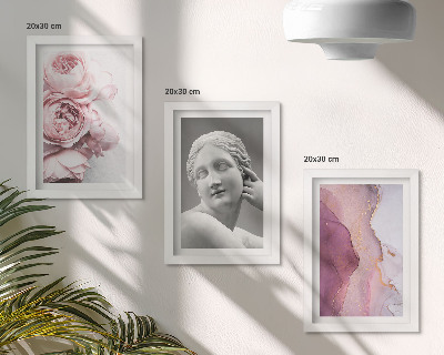 Lot de 3 tableaux Sculpture romantique de pivoines représentant une femme (abstrait)