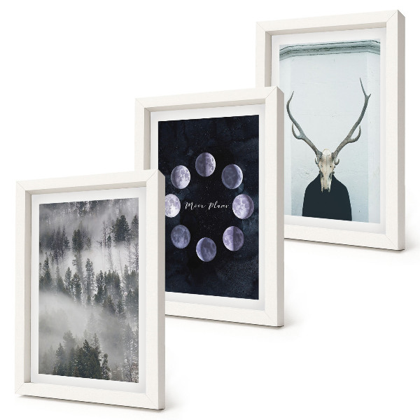 Lot de 3 tableaux Paysage forestier dans le brouillard, phases de la lune, crâne de cerf