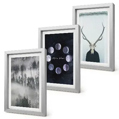Lot de 3 tableaux représentant un paysage forestier dans le brouillard avec des phases de la lune et un crâne de cerf