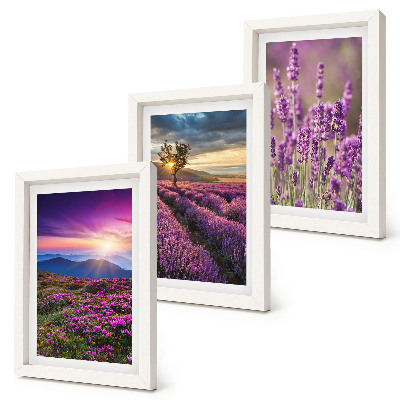 Mur de cadres Paysage avec des champs de lavande et un coucher de soleil