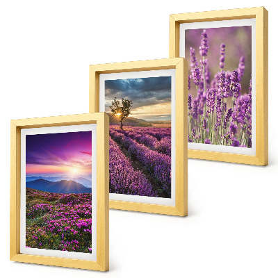 Mur de cadres Paysage avec des champs de lavande et un coucher de soleil