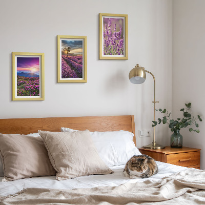 Mur de cadres Paysage avec des champs de lavande et un coucher de soleil