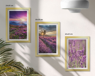 Mur de cadres Paysage avec des champs de lavande et un coucher de soleil