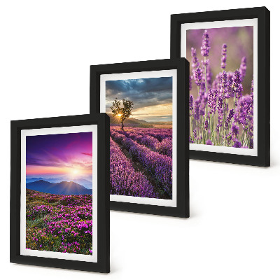Mur de cadres Paysage avec des champs de lavande et un coucher de soleil