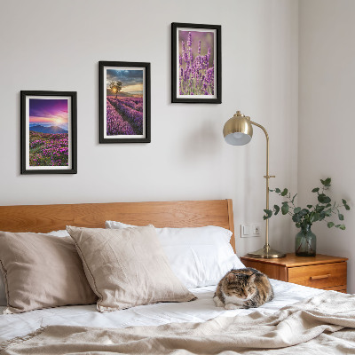 Mur de cadres Paysage avec des champs de lavande et un coucher de soleil