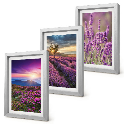 Mur de cadres Paysage avec des champs de lavande et un coucher de soleil