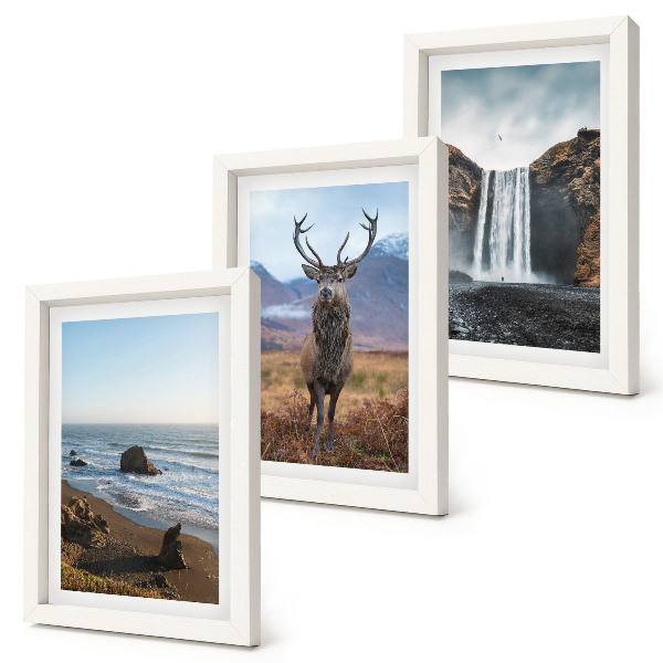 Mur de cadres Paysages de montagne avec une cascade, un cerf et une plage