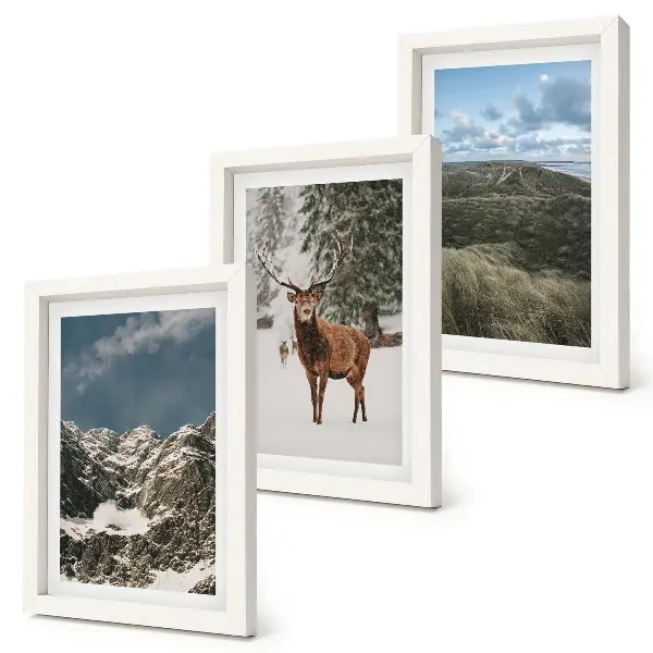 Lot de 3 tableaux représentant des montagnes enneigées et des cerfs dans la forêt