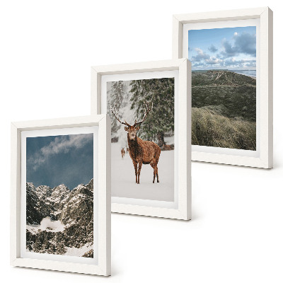 Lot de 3 tableaux Montagnes enneigées, cerfs dans la forêt, paysages