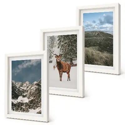 Lot de 3 tableaux représentant des montagnes enneigées et des cerfs dans la forêt