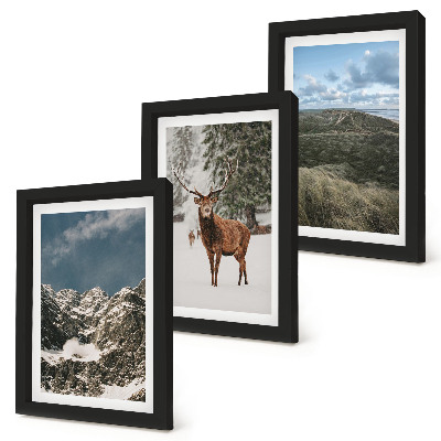 Lot de 3 tableaux Montagnes enneigées, cerfs dans la forêt, paysages
