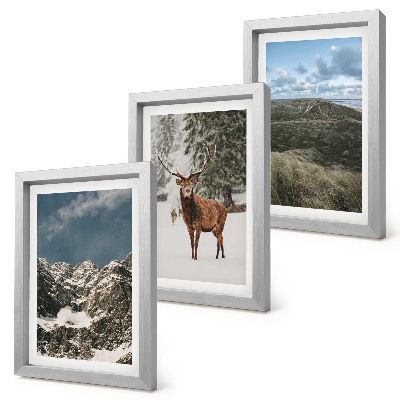 Lot de 3 tableaux Montagnes enneigées, cerfs dans la forêt, paysages