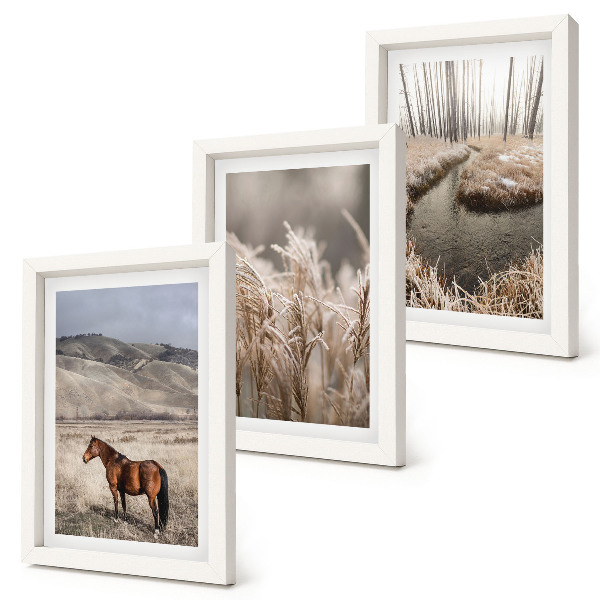Ensemble de 3 tableaux Des chevaux dans un paysage d'herbes et un ruisseau en hiver