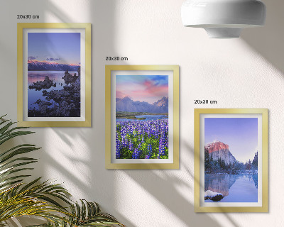 Mur de cadres Paysages de montagne avec eau, ciel et un champ de fleurs