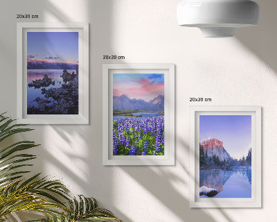 Mur de cadres Paysages de montagne avec eau, ciel et un champ de fleurs