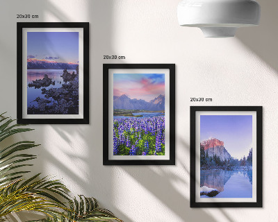 Mur de cadres Paysages de montagne avec eau, ciel et un champ de fleurs