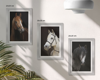 Mur de cadres Portraits de chevaux aux fourrures de différentes nuances