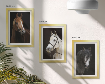 Mur de cadres Portraits de chevaux aux fourrures de différentes nuances