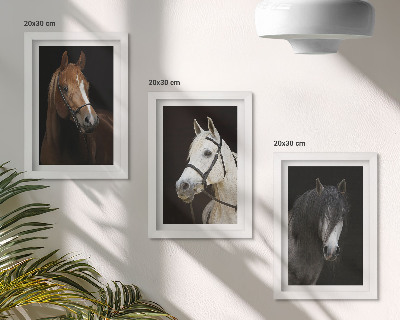 Mur de cadres Portraits de chevaux aux fourrures de différentes nuances