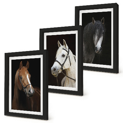 Mur de cadres Portraits de chevaux aux fourrures de différentes nuances