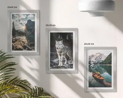 Lot de 3 tableaux représentant des montagnes, des lacs et un loup dans un cadre naturel