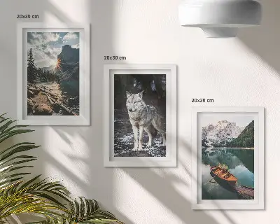 Lot de 3 tableaux représentant des montagnes, des lacs et un loup dans un cadre naturel
