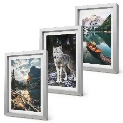 Lot de 3 tableaux représentant des montagnes, des lacs et un loup dans un cadre naturel
