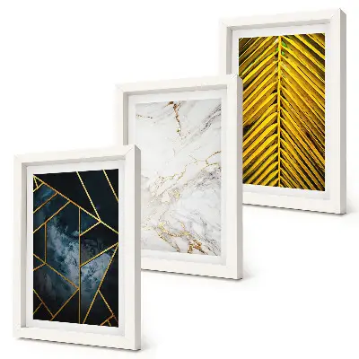 Mur de cadres à motifs géométriques modernes et végétaux naturels