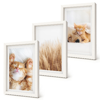 Ensemble de 3 tableaux Animaux mignons chats chiens herbe délicate bohème