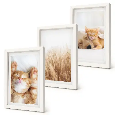 Ensemble de 3 tableaux représentant des animaux mignons, chats et chiens dans une herbe délicate au style bohème
