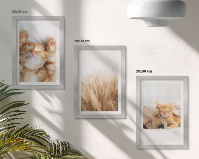 Ensemble de 3 tableaux Animaux mignons chats chiens herbe délicate bohème