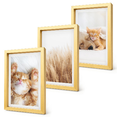 Ensemble de 3 tableaux Animaux mignons chats chiens herbe délicate bohème
