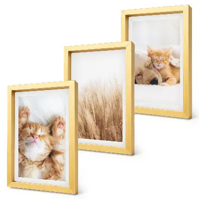 Ensemble de 3 tableaux représentant des animaux mignons, chats et chiens dans une herbe délicate au style bohème