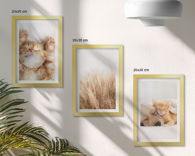 Ensemble de 3 tableaux Animaux mignons chats chiens herbe délicate bohème