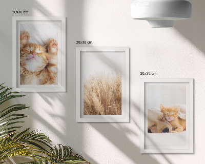 Ensemble de 3 tableaux Animaux mignons chats chiens herbe délicate bohème