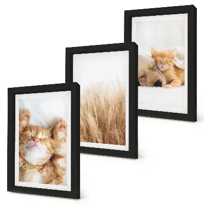 Ensemble de 3 tableaux représentant des animaux mignons, chats et chiens dans une herbe délicate au style bohème