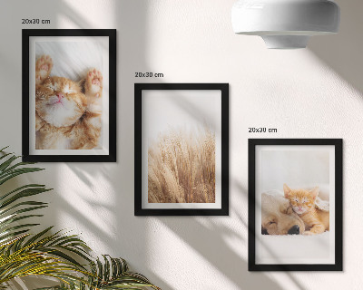 Ensemble de 3 tableaux Animaux mignons chats chiens herbe délicate bohème