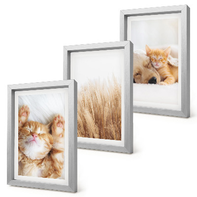 Ensemble de 3 tableaux Animaux mignons chats chiens herbe délicate bohème