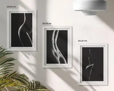 Mur de cadres silhouettes féminines érotiques en noir et blanc