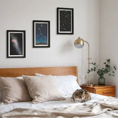 Lot de 3 tableaux représentant la vue de la galaxie de la constellation de la Vierge dans l'univers