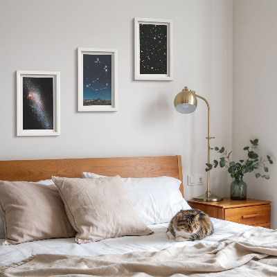 Ensemble de 3 tableaux Constellation du Capricorne, galaxie et étoiles