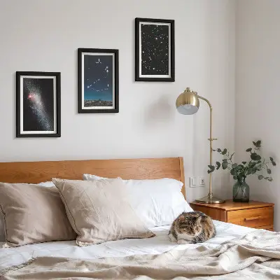 Ensemble de 3 tableaux représentant la constellation du Capricorne, une galaxie et des étoiles