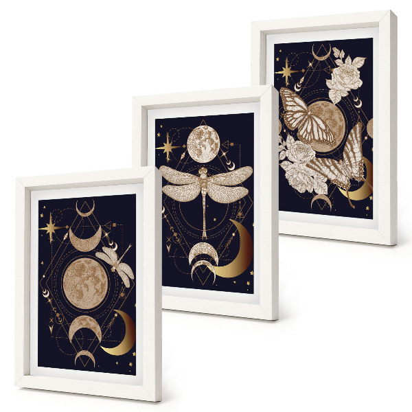 Mur de cadres Motifs naturels avec la lune, l'espace et les fleurs
