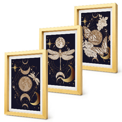 Mur de cadres Motifs naturels avec la lune, l'espace et les fleurs
