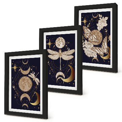 Mur de cadres Motifs naturels avec la lune, l'espace et les fleurs