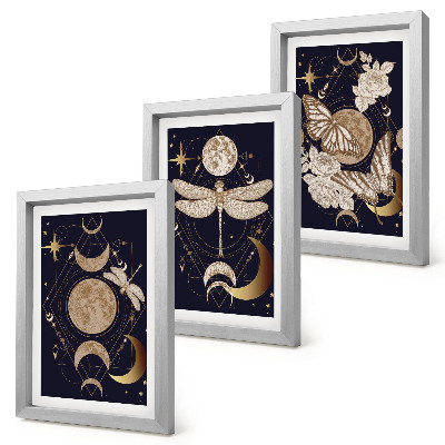 Mur de cadres Motifs naturels avec la lune, l'espace et les fleurs