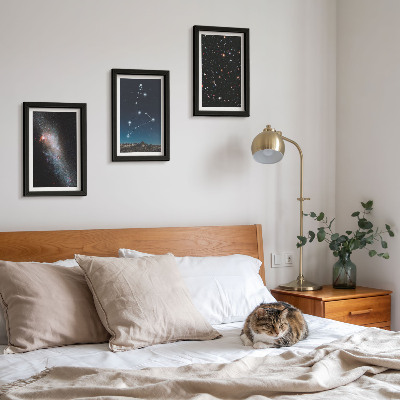 Lot de 3 tableaux La galaxie de la constellation du Lion et l'espace extra-atmosphérique
