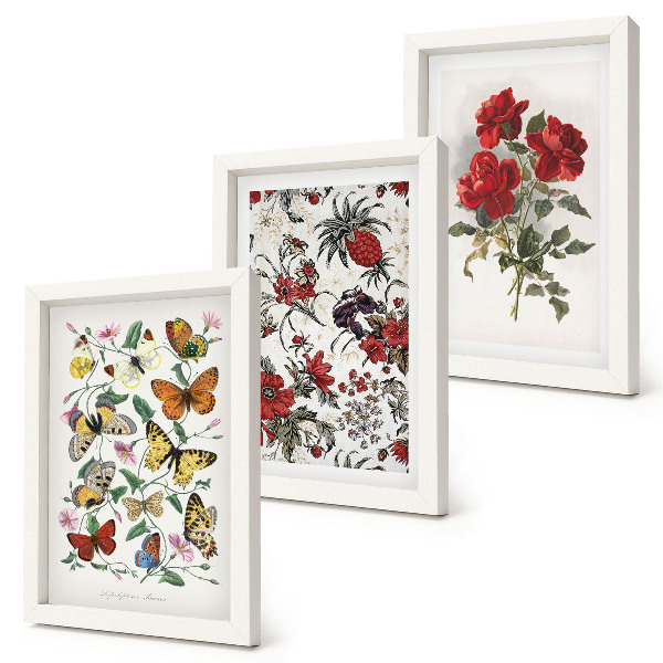 Lot de 3 tableaux Papillons, fleurs et roses rouges dans un style classique